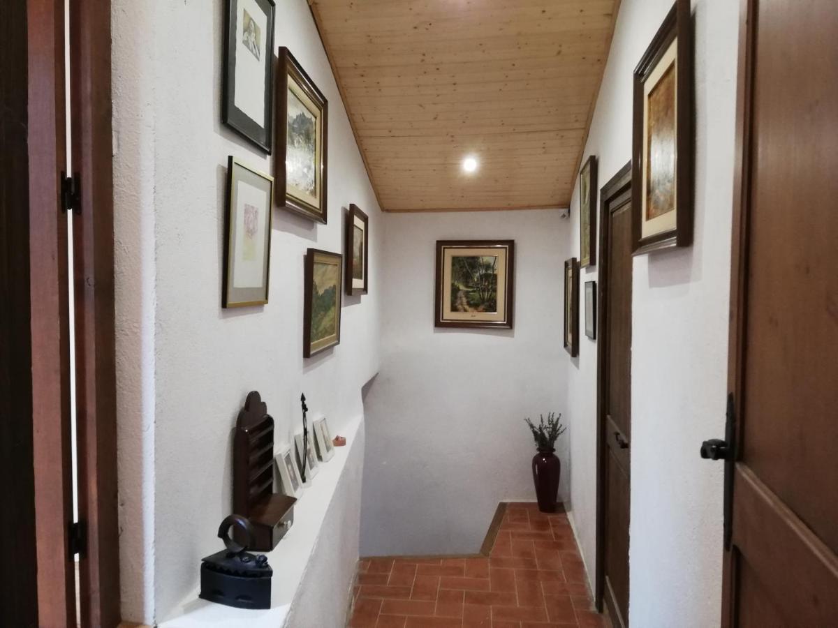 Cal Bove Apartment Sant Guim de Freixenet Екстериор снимка